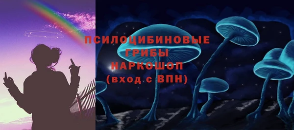 прущая мука Абаза