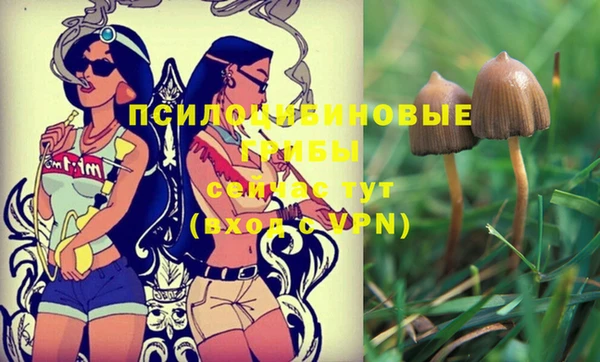 прущая мука Абаза