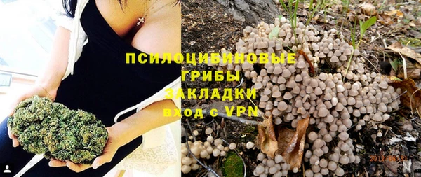 прущая мука Абаза