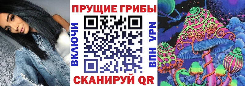 Псилоцибиновые грибы мицелий  Аксай 