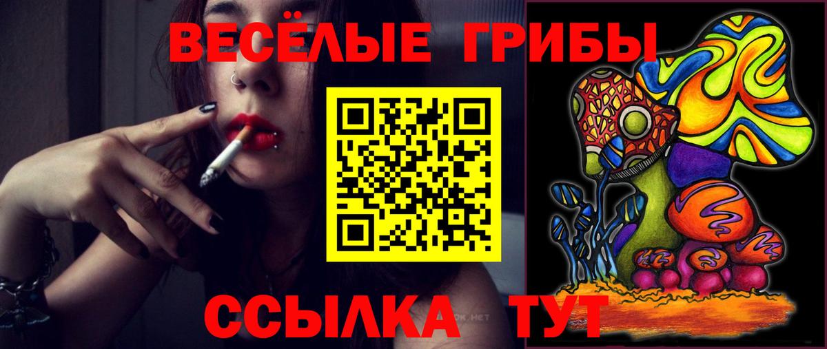 Меф кристаллы  ЭКСТАЗИ  Вход с VPN  Каннабис  APVP СК кристаллы  НБОМе  ГАШ  Аксай  КОКАИН  Гашиш  Мефедрон  МДМА 